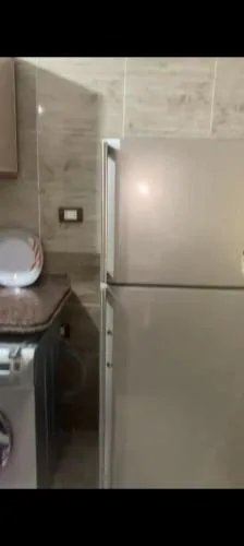 ميامي الاسكندريه