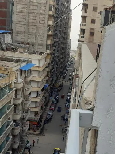 الاسكندرية ميامى