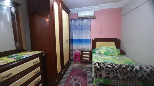 شقه مفروشه غرفتين للإيجار في سموحه اسكندريه