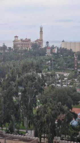 رويال فيو المنتزة Royal view Elmontaza