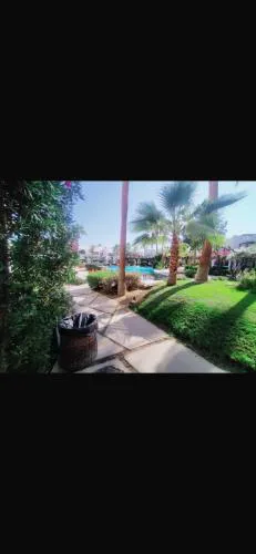 1bedroom-16