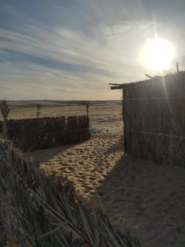 Amon Whisper Dunes