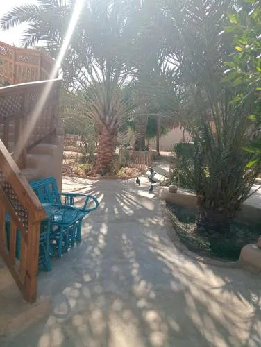Siwa Spot - March is one of the best months in Siwa, with beautiful spring weather, pleasant sunny days, cooler peaceful nights, and a quiet oasis atmosphere perfect for rest and reflection