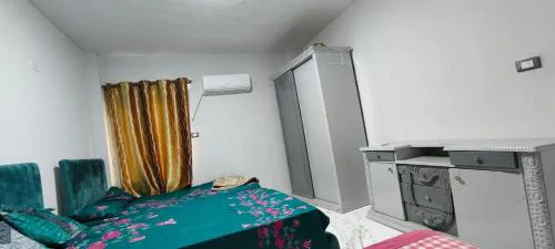 قرية النورس
