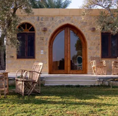 Olive House