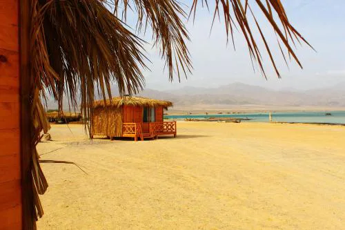 Dagal Camp - دجل كامب