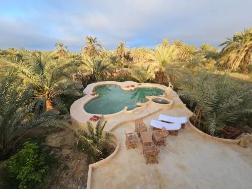 Paradise in a palm forest with epic pool