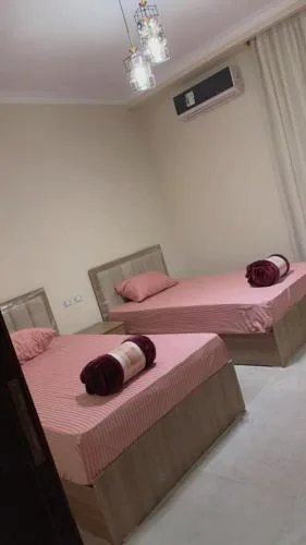 القاهرة الجديدة
