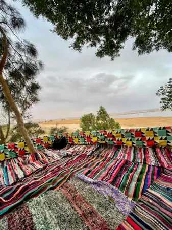 Sunset Tree Camp