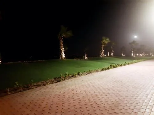 بورتو سعيد