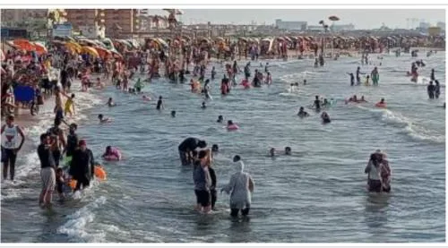 العربية العالمية للسياحة و الرحلات شقق فندقية فاخرة برأس البر