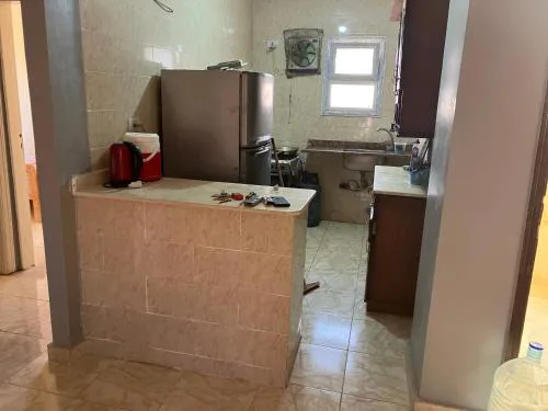 Mina resort ras sudr