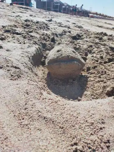 راس غارب هوم Ras Gharib House, Red Sea