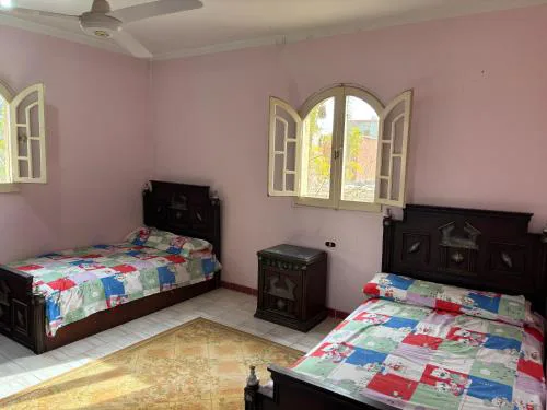 Apartment in Tanis San Alhgar