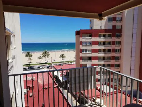 Danio Solo Familia Serviplaya