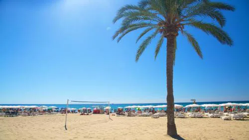 HB Apartments - Mercado Central - Rambla Alicante - La Suite de la Playa