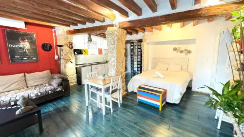 Loft estilo cine en el centro histórico - Casco Antiguo