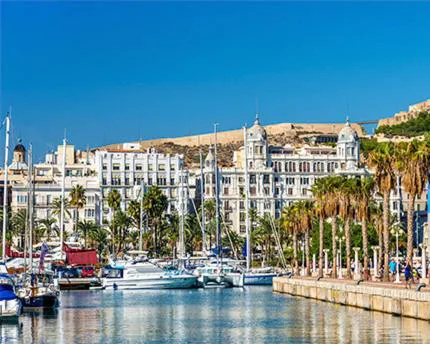 Luxury Escape by the Beach and City Center