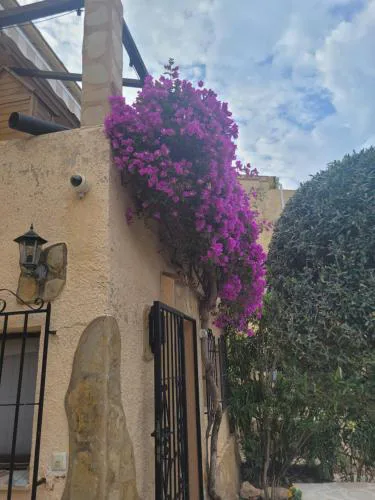 Casa Esperanza