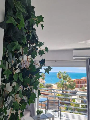 Luxuery View