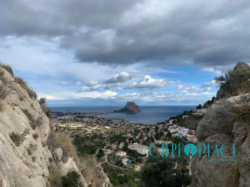 Miró Calpe