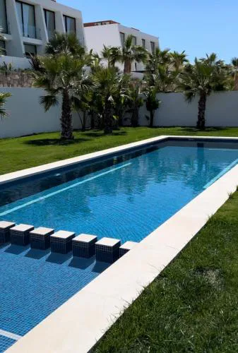 Sunny Calp