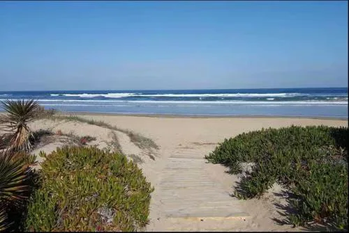 Caminando a la playa