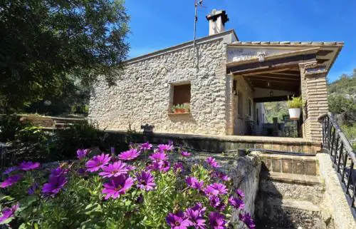 Campus el abuelo