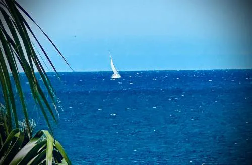 SeaBreeze