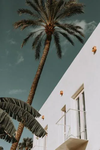 Vacança beach