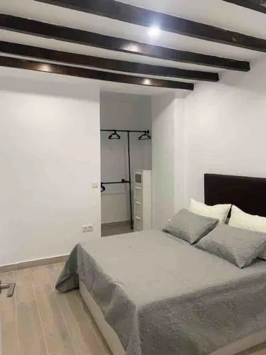 Planta baja moderna y nueva a estrenar en el centro ciudad 2 habitaciones y 2 baños