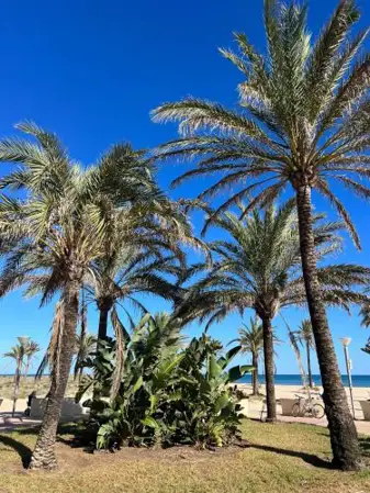 Apartamento Monika Playa y Grau