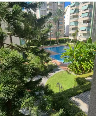 Magnífico piso en Playa de Gandia