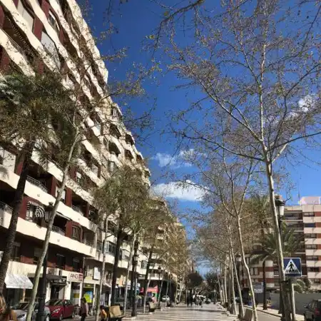 Preciosa en GANDIA a 5 min del centro histórico