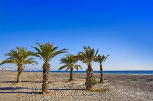 Costa Blanca Holiday Rental Tamarit Beach I