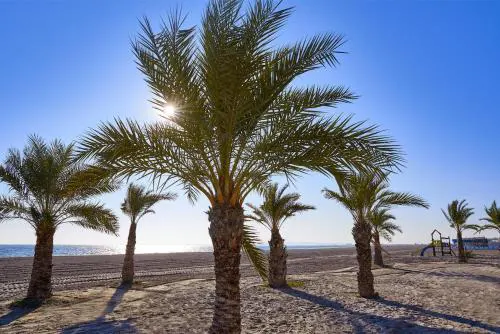 Costa Blanca Holiday Rental Tamarit Beach II
