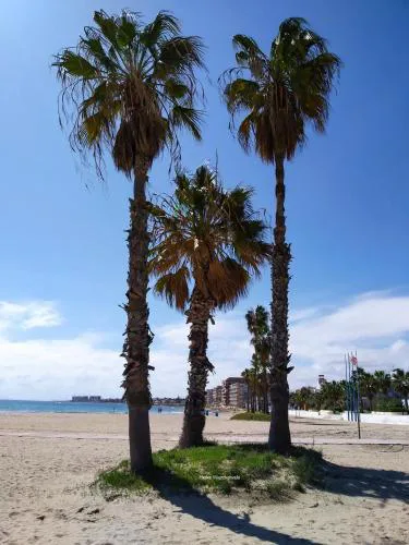 Apartament CARMEN