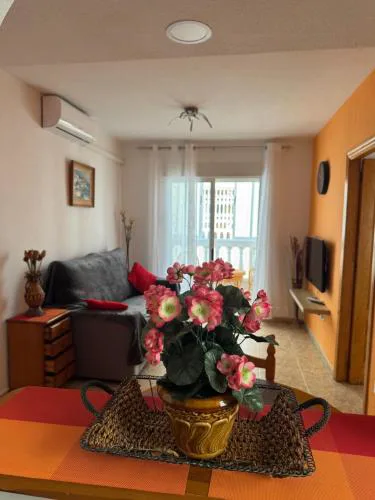 Apartment Vicente casa 119