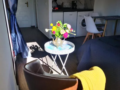 Sunny studio La Mata beach
