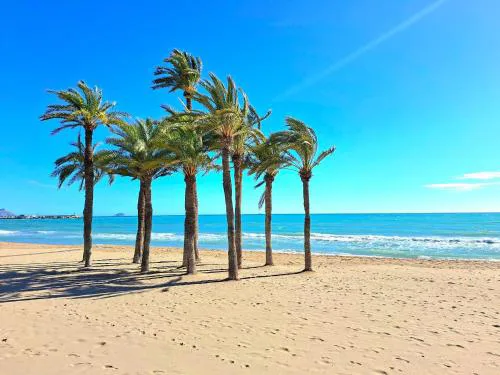 Torrevieja CityCenter LocosBeach 50m Exclusive Apartment