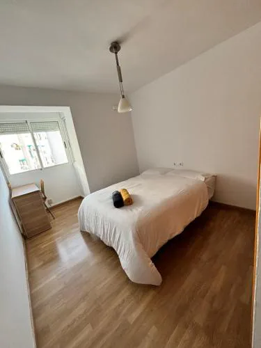 Cute and Cosy Room