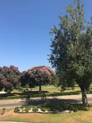 Plaza Sainetero Arniches