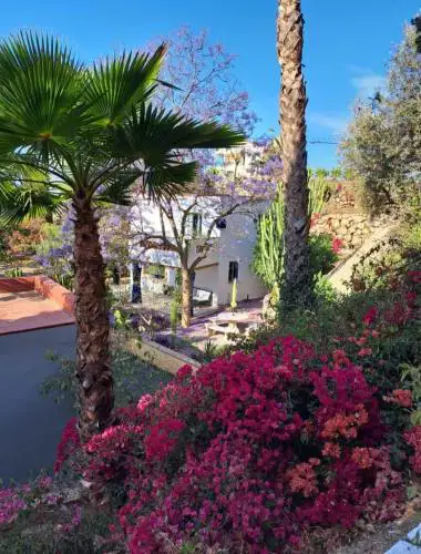 Casita 2