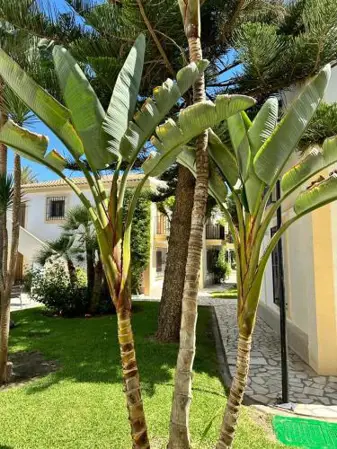Mi Casa Vera Playa -bajo