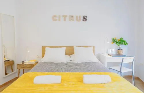 Citrus Suite by Alhaurín Loft City Center
