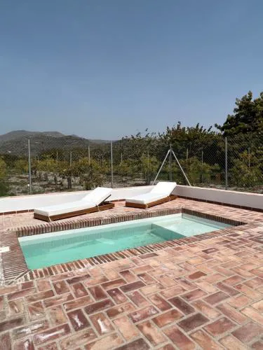 Cortijo Avocado