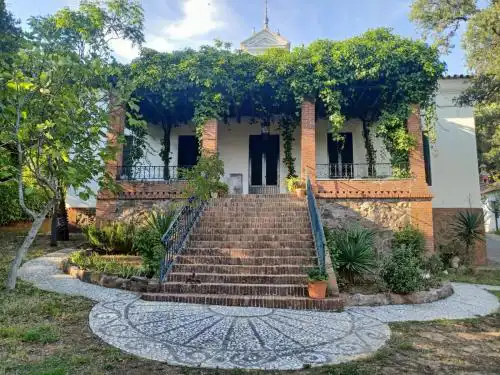 Aracenilla 7