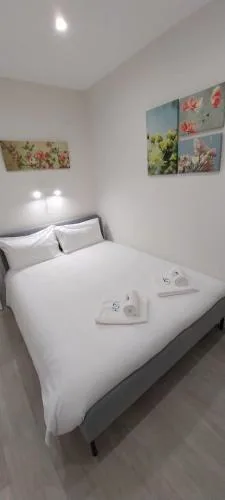 Why Not Houses Centro