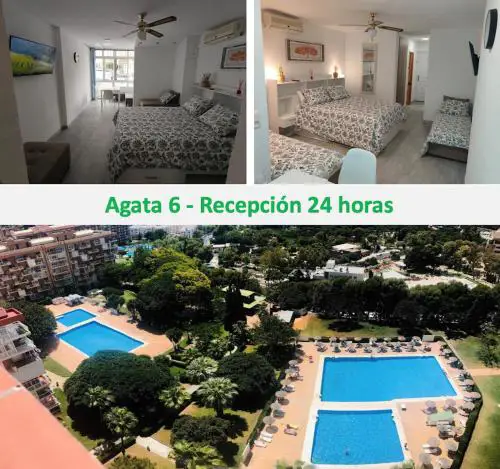 Agata 6 - 24h reception