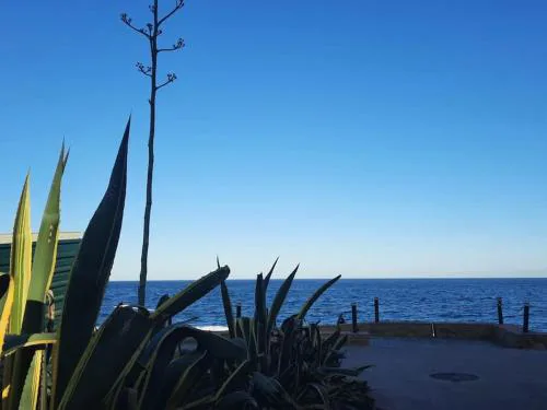 at jardines del mar